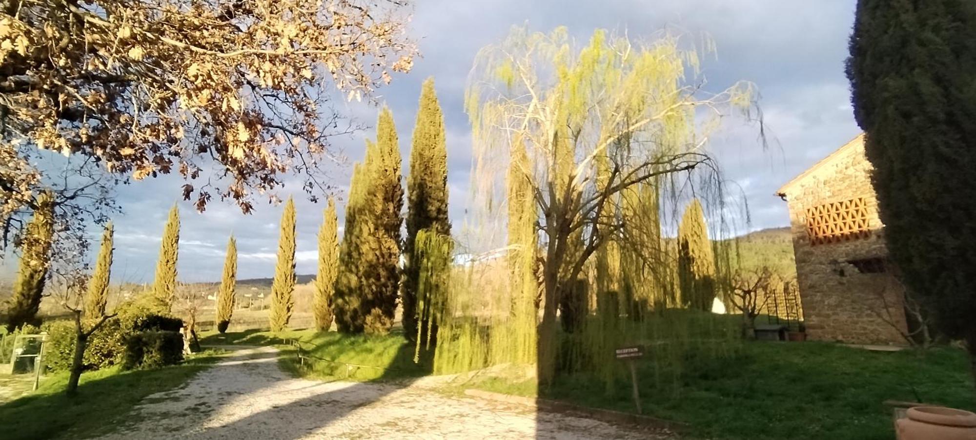 I Salici Agriturismo Badia Agnano エクステリア 写真